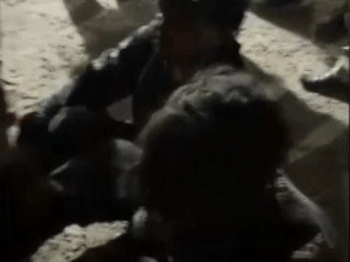 लुधियाना