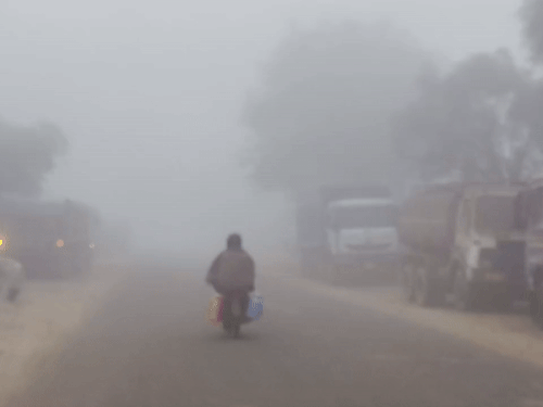 सवाई माधोपुर के लिए आगामी तीन दिन तक कोहरे का यलो अलर्ट जारी किया गया है।