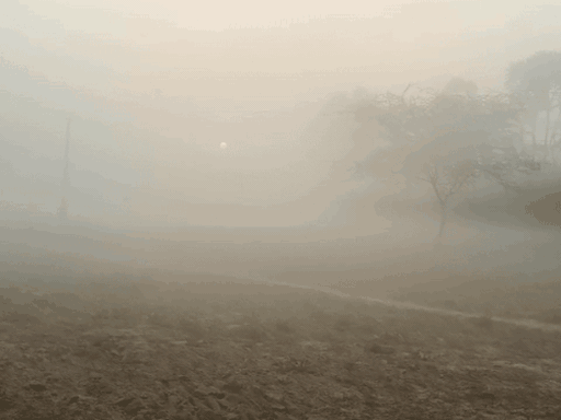 बुधवार सुबह सीकर के पलसाना इलाके में कोहरा छाया और नेशनल हाईवे पर विजिबिलिटी 30 मीटर से भी कम रही।