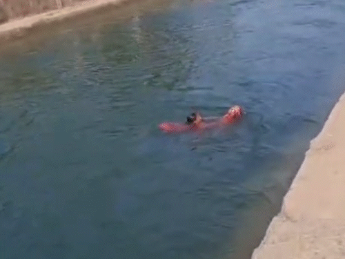 Banswara: Lady Constable Rescues Woman Who Jumped Into Canal to Commit ...