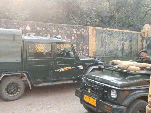 परिवार ने बाघिन सुल्ताना की साइटिंग की। यहां सुरक्षा को लेकर भी पुख्ता इंतजाम किए हुए हैं।