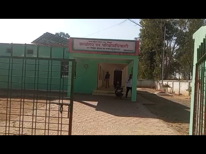 अनूपपुर में चौकीदार को 18 महीने से नहीं मिला वेतन:  बीट गार्ड पर राशि हड़पने का आरोप, कलेक्टर से शिकायत – Anuppur News