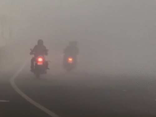 नोएडा के कई इलाकों में घना कोहरा छाया हुआ है। विजिबिलिटी शून्य के करीब रिकॉर्ड की गई।