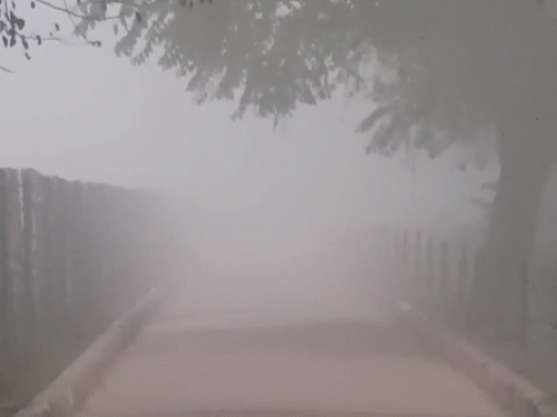 तस्वीर यूपी के आगरा की है। यहां पर हर रोज घना कोहरा छा रहा है।