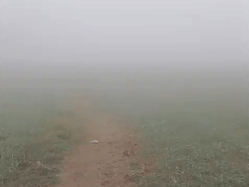 Visibility was zero in Jhajjar on Wednesday morning
