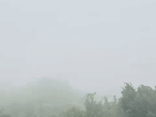 Dense fog in Gurugram in the morning