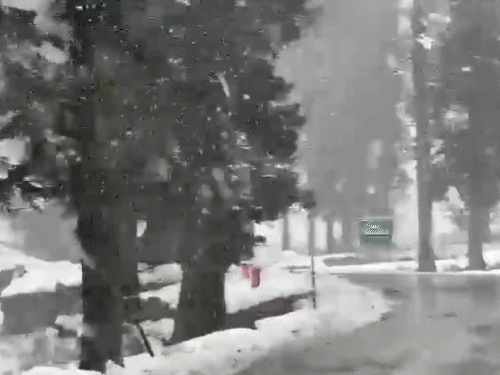 जम्मू-कश्मीर में साल के आखिरी दिन बर्फबारी हुई। पूरा कश्मीर इलाका बर्फ से ढंक गया।