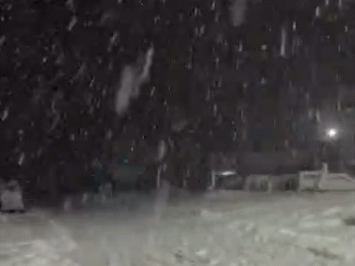 कश्मीर के गुरेज में बुधवार को जमकर बर्फबारी हुई। इससे पूरे इलाके ने बर्फ की सफेद चादर ओढ़ ली।