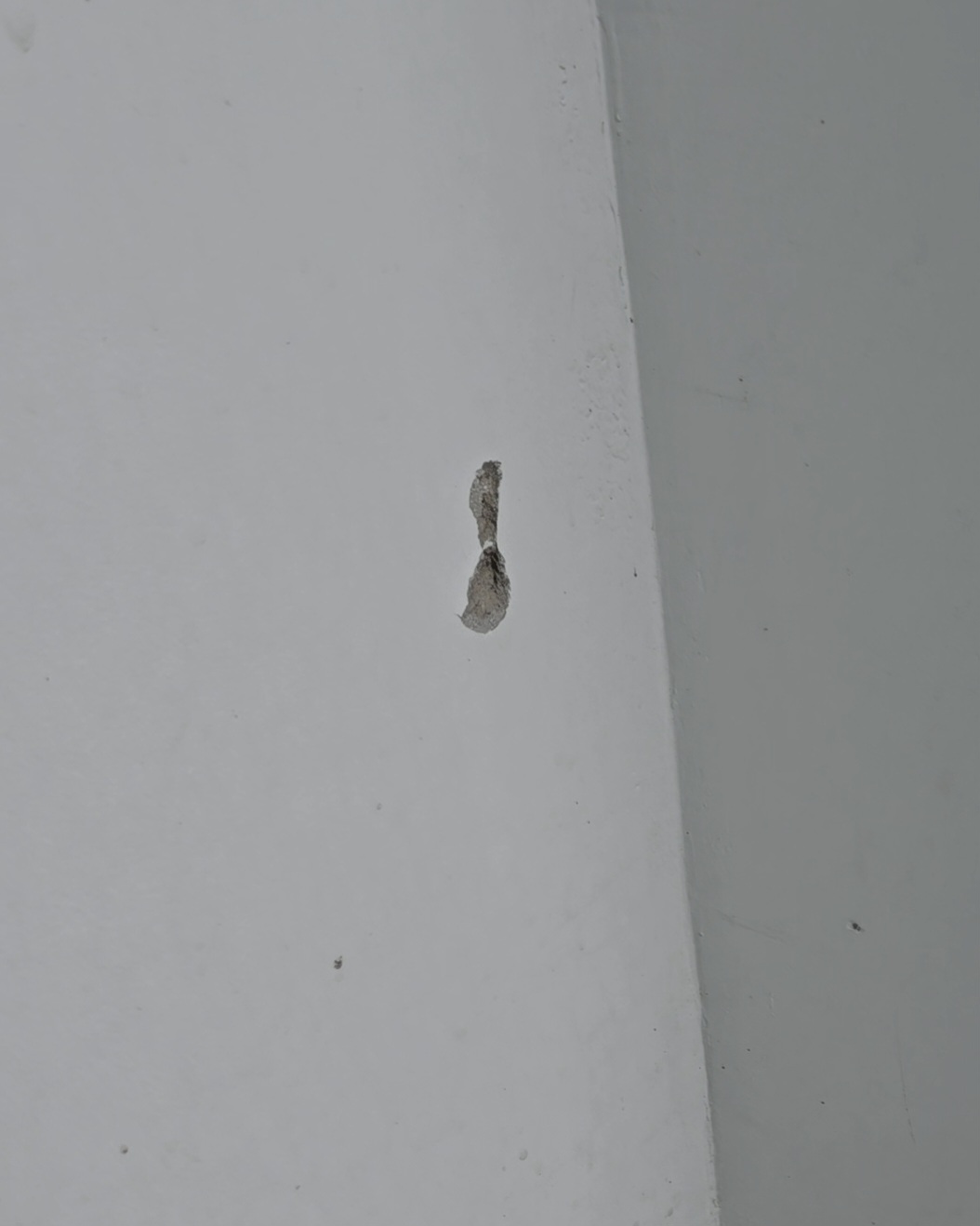 फायरिंग के बाद दीवार में लगी गाेलियां।