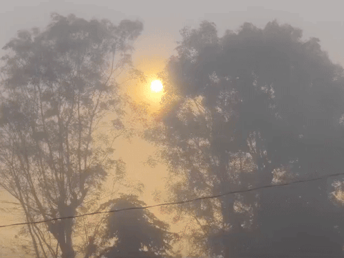बारिश के बाद हल्का कोहरा भी दिखा।