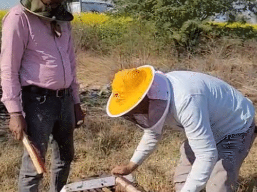 रामकिशोर गोशाला में 11 महीने तक बतौर मैनेजर भी काम कर चुके हैं।