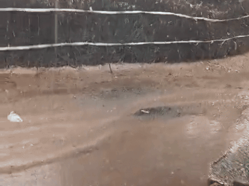 बीकानेर के जसरासर गांव में भी बारिश हुई।