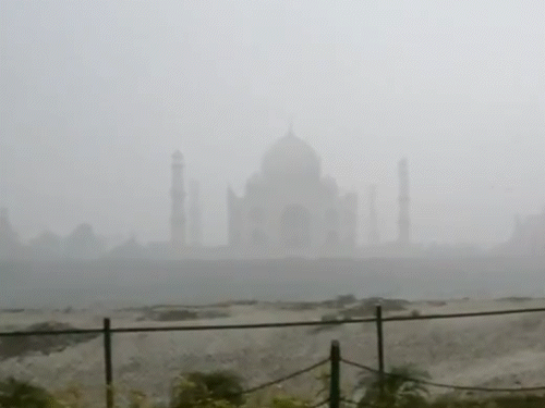आगरा में शीतलहर जारी है और घना कोहरा छाया हुआ है। तस्वीर में कोहरे के बीच छिपा ताजमहल दिखाई दे रहा है।