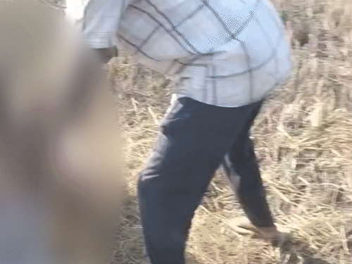 रायगढ़ के तमनार हिंसा का एक वीडियो वायरल हो रहा है। जिसमें प्रदर्शनकारी महिला आरक्षक के कपड़े फाड़ते हुए दिख रहे हैं। - Dainik Bhaskar