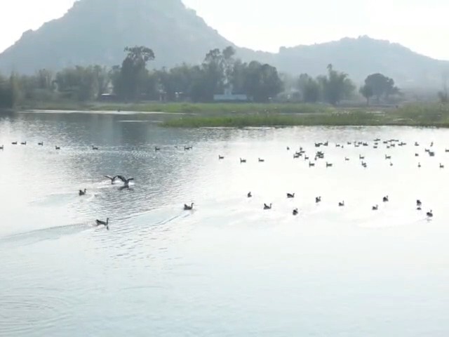 गिरिडीह के खंडोली में नव वर्ष पर उमड़े सैकड़ों पर्यटक:  सुरक्षा के पुख्ता इंतजाम, उत्सव का माहौल; बोटिंग और घुड़सवारी का भी लुत्फ उठाया – Giridih News