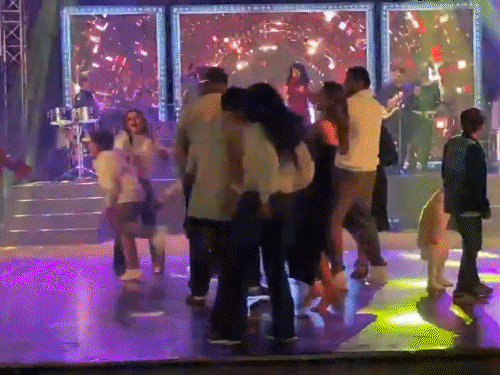 राजस्थान के उदयपुर में देश-विदेश से पहुंचे पर्यटकों ने नाच-गाने के साथ 2026 का स्वागत किया।