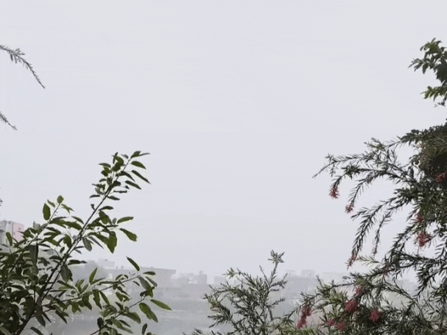 रूपवास में हल्के कोहरे के चल रही ठंडी हवाएं।