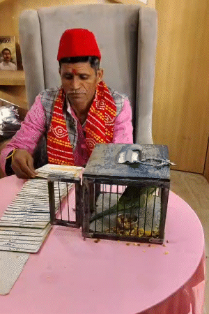 पटना के एक होटल में नए साल को लेकर लोग तोते से भविष्यवाणी जानी।