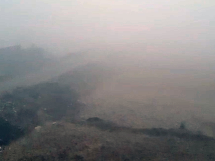 लातेहार में छाया कोहरा।