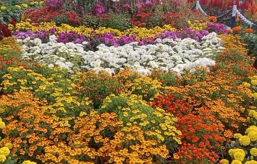 मैथन डैम में नए साल पर उमड़ी सैलानियों की भीड़:  सुरक्षा के पुख्ता इंतजाम, पुलिस बल तैनात; लोगों ने नौका विहार का लिया आनंद – Dhanbad News