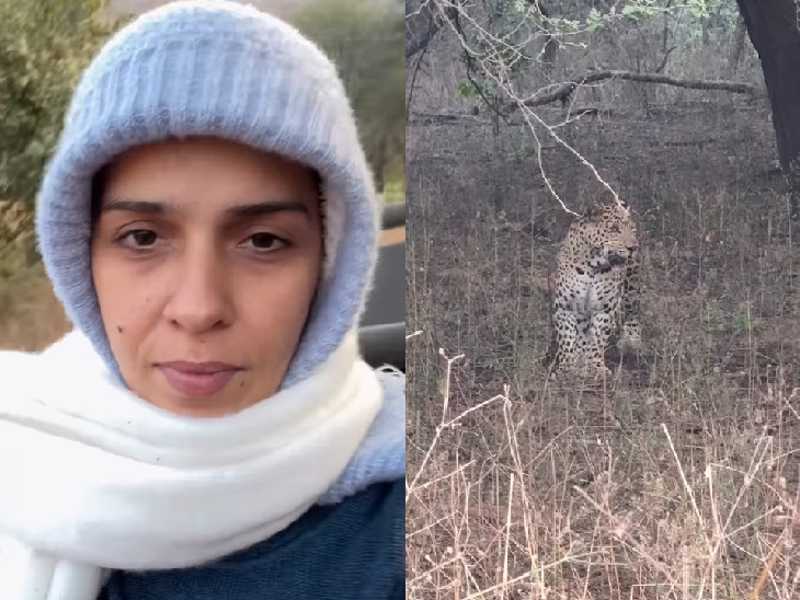 साइना ने झालना के सबसे फेमस लेपर्ड राणा को देखा।