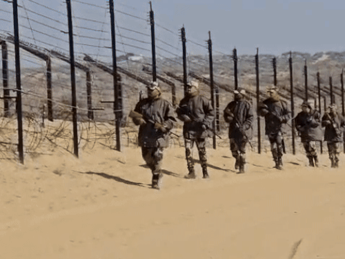 भारत-पाक बॉर्डर पर तैनात सीमा सुरक्षा बल (BSF) के जवान। (फाइल फोटो)