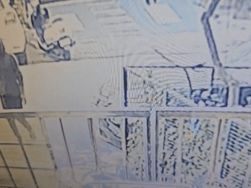 युवक ने हुडी पहनी हुई थी। वह पैदल आया और कुछ ही मिनटों में घर के बाहर खड़ी साइकिल चुराकर फरार हो गया।