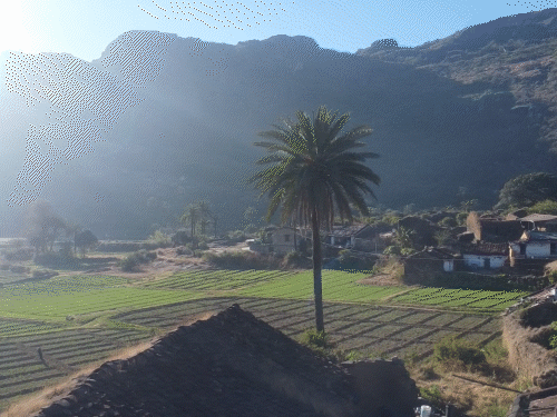 पहाड़ियों और जंगलों से घिरा उतरज गांव। रात घिरते ही जंगली जानवरों का खतरा बढ़ जाता है।