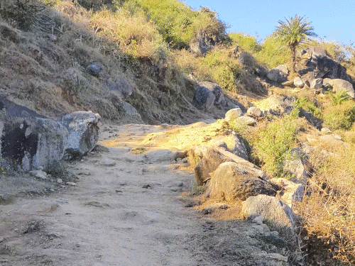 गुरुशिखर (माउंट आबू, सिरोही) से उतरज गांव तक पहुंचने के लिए इसी तरह की उबड़-खाबड़ पगडंडियों से होकर निकलना पड़ता है।