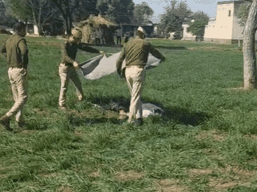 12 दिसंबर को सुनील और शूटर कृष्णकांत गैंगवार में मारा गया था।