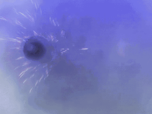 करीब 2 सप्ताह पहले विजय दिवस के मौके पर मुंबई में फिल्म 'बॉर्डर 2' का टीजर लॉन्च किया गया था। टीजर में सनी देओल एक्शन करते हुए नजर आए।