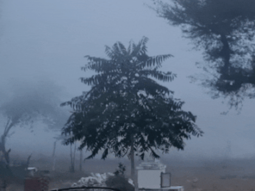 Dense fog, visibility 50 meters, cloudy sky