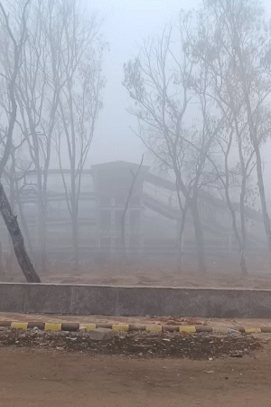 आने वाले दिनों में न्यूनतम तापमान और गिरने से ठंड और बढ़ेगी।