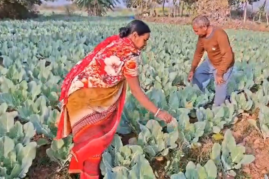 पहले जहां दो जून की रोटी मुश्किल थी, आज अच्छी आमदनी है।