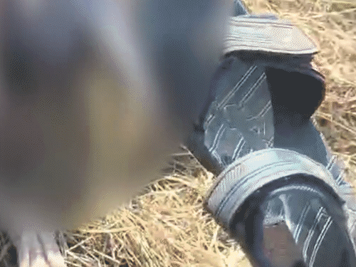 इस दौरान महिला आरक्षक बचाने के लिए चीखते रही, लेकिन फिर भी ग्रामीण नहीं रुके।