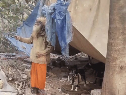 इस झुग्गी में जाकर छिपते थे आरोपी।