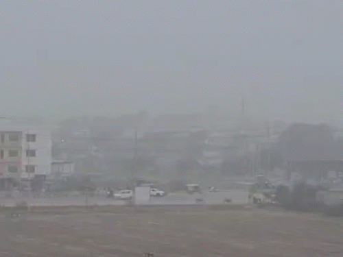 मध्य प्रदेश के भोपाल में शनिवार को सर्दी के इस सीजन में पहली बार पूरे दिन घना कोहरा रहा।