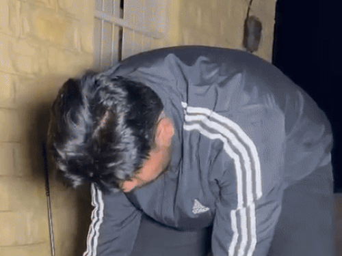 स्नैक कैचर साहिल खान ने सांप को सुरक्षित जंगल में छोड़ा।