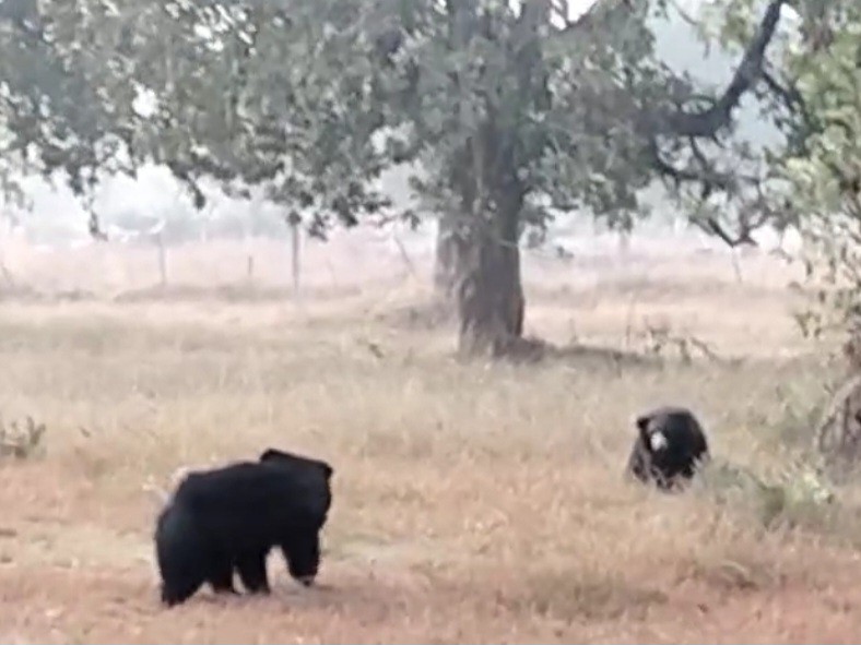 ग्रामीणों इलाके में लोग दहशत में है।