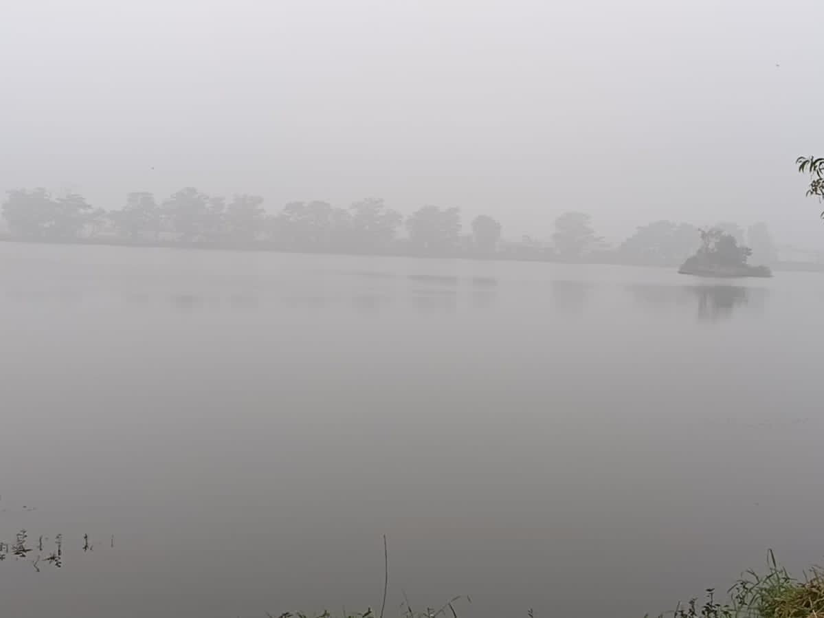 घने कोहरे में लिपटा बालाघाट, विजिबिलिटी काफी कम रही।