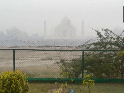 आगरा में सुबह घना कोहरा देखने को मिला। 100 मीटर दूर से ताजमहल दिखाई नहीं दे रहा था।