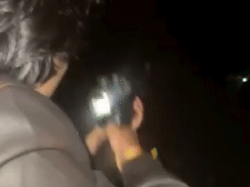 टाइगर रिजर्व में युवक सुबह से रात तक हथियार के साथ मौजूद थे।