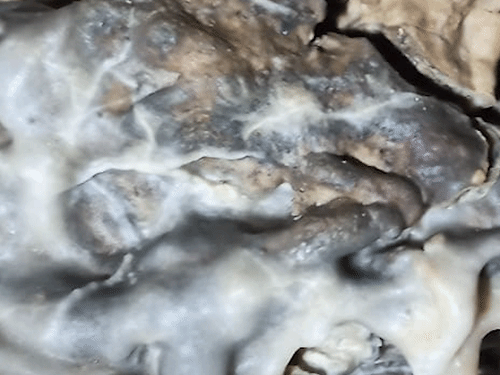 गुफा की चट्‌टानों पर उभरी पौराणिक आकृतियां।