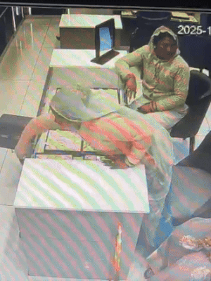 सोफे पर बीच में बैठी महिला ने उठकर काउंटर से एक ईयर रिंग डिस्प्ले बोर्ड को निकाल लिया।