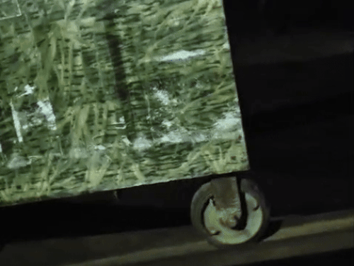 पिंजरा लगाती वन विभाग की टीम।