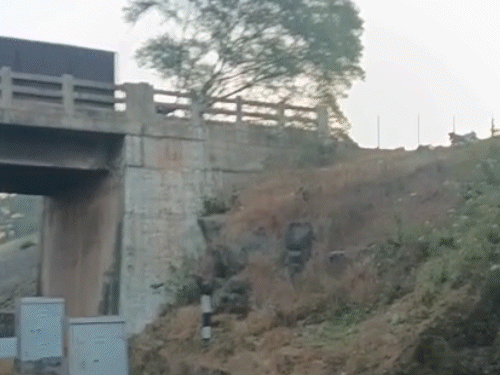 दल्लीराजहरा पिकनिक मनाने जा रहे युवक की बाइक अनियंत्रित होने से हुआ हादसा