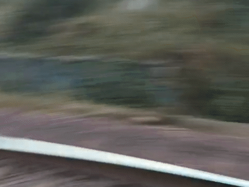 मालगाड़ी चला रहे प्रत्यक्षदर्शी लोको पायलट ने समय रहते इमरजेंसी ब्रेक लगाई।