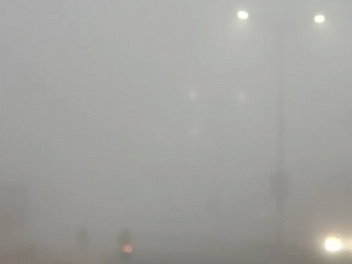 Weather Photos Update; Rajasthan Mumbai Rainfall | MP UP Kanpur Cold Wave  Alert - Kashmir Snowfall | MP में आज इस सीजन का सबसे ज्यादा कोहरा: 19 जिलों  में स्कूल बंद; यूपी