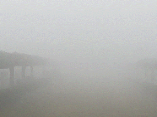 आगरा में सुबह घना कोहरा देखने को मिला। 100 मीटर दूर से ताजमहल दिखाई नहीं दे रहा था।