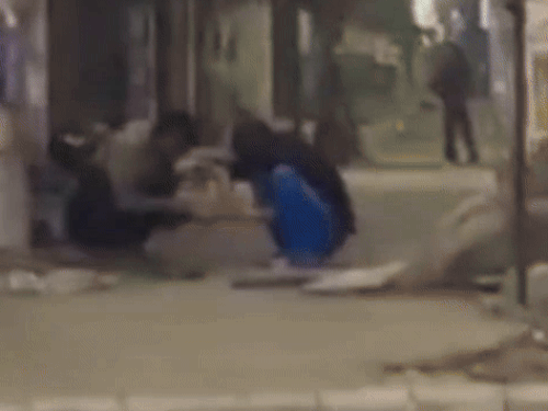 लुधियाना के समराला चौक नजदीक पुल के नीचे नशे का इंजेक्शन लगाते युवक। - Dainik Bhaskar